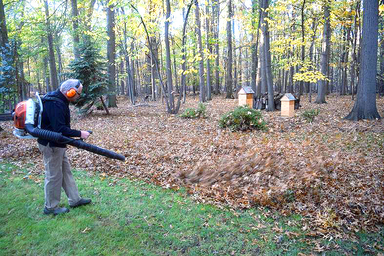 Master Airflow Principles While Leaf Blowing